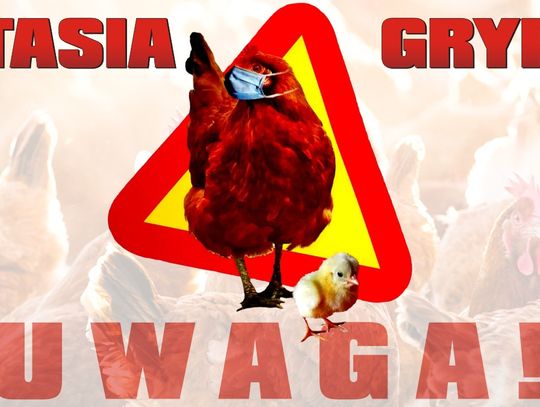 UWAGA! - Zagrożenie Ptasią Grypą