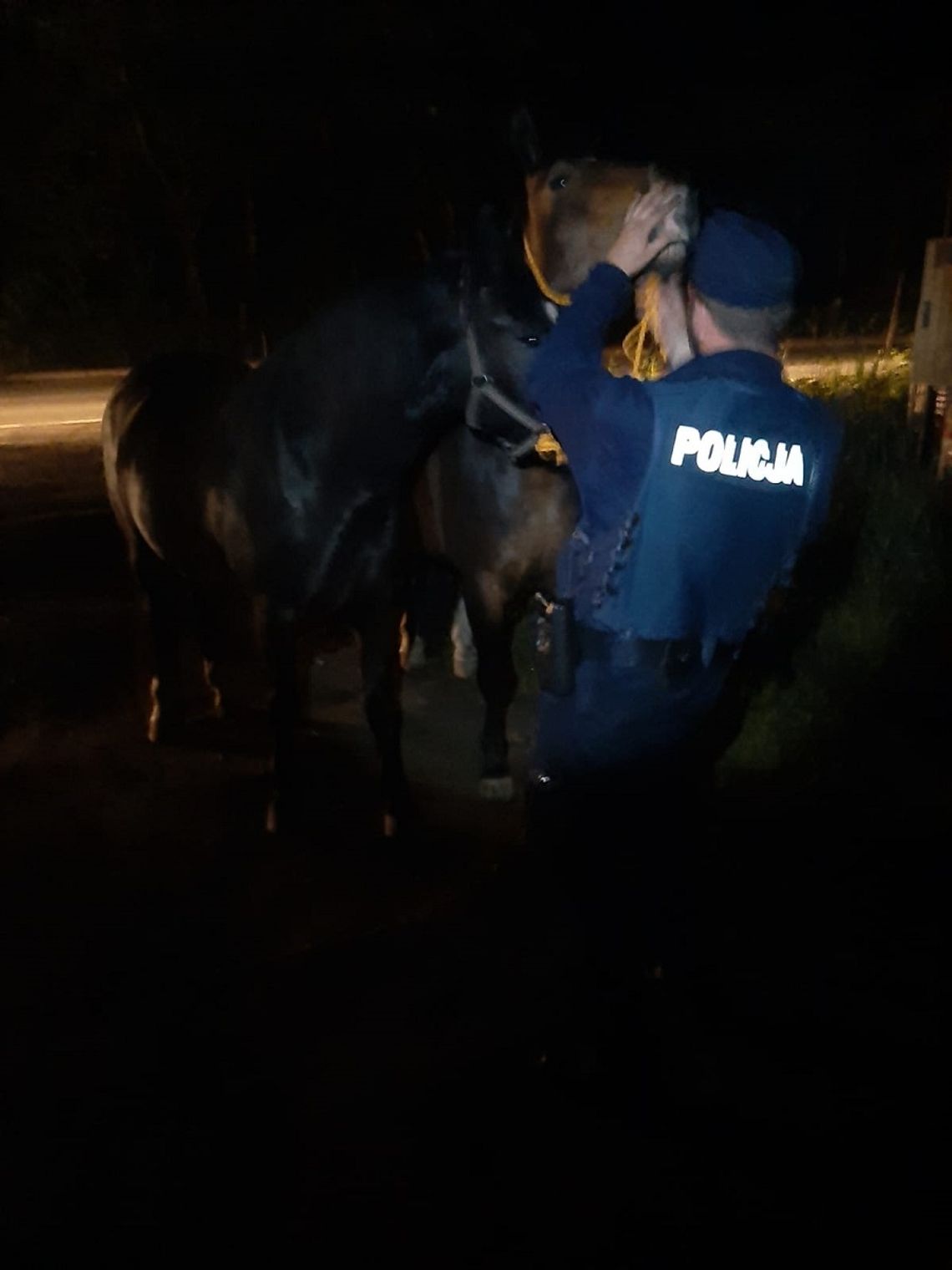 NIETYPOWA INTERWENCJA RYPIŃSKICH POLICJANTÓW